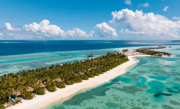 subSection_5506e2327cfd-7cb0-4dcb-b486-83f743025a75blob ozen life maadhoo